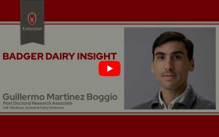 The image is a screenshot from a video titled "Badger Dairy Insight" featuring Guillermo Martinez Boggio. The top portion displays the University of Wisconsin Extension logo. Below that is a play button icon for the video.