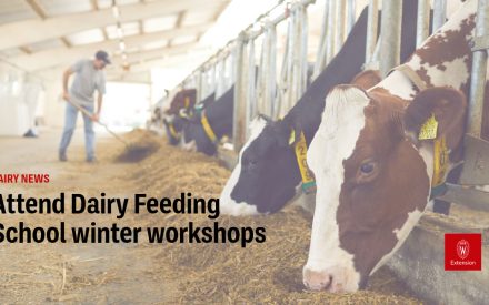 Attend “Dairy Feeding School” winter workshops