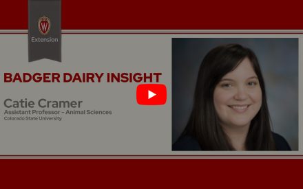 The image is a screenshot from a video titled "Badger Dairy Insight" featuring Catie Cramer. The top portion displays the University of Wisconsin Extension logo. Below that is a play button icon for the video.