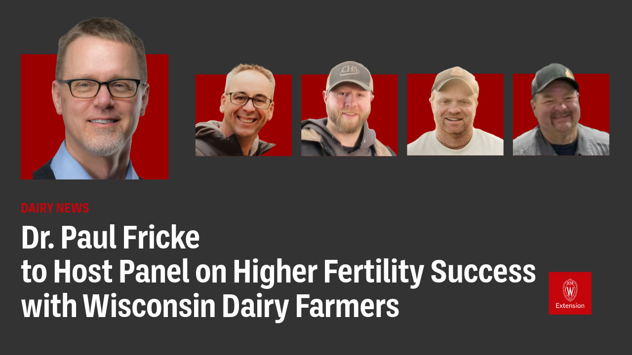 A news article header showing 'DAIRY NEWS' with the title 'Dr. Paul Fricke to Host Panel on Higher Fertility Success with Wisconsin Dairy Farmers.' The image includes headshots of five people with glasses and baseball caps against red backgrounds, and a small University of Wisconsin Extension logo.