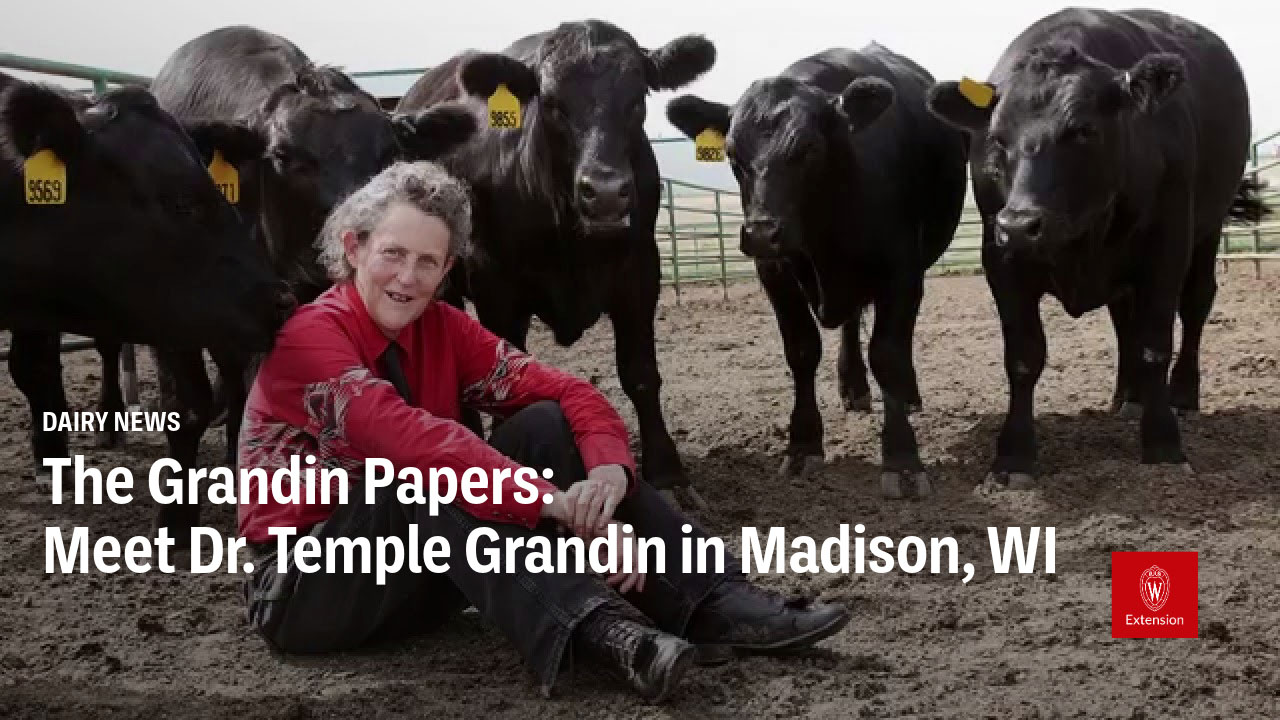 American scientist, author, and inventor Temple Grandin is shown sitting among a group of 5 beef cows. The title of an event " The Grandin Papers: Meet Dr. Temple Grandin in Madison, WI" is shown below the photo. The University of Wisconsin - Extension logo is shown on a field of red in the lower right corner.