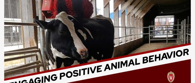 🎧 LISTEN: Engaging Positive Animal Behavior