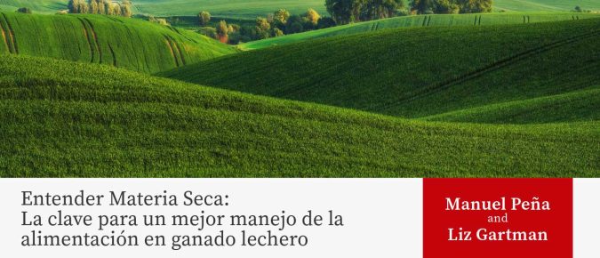 Entender Materia Seca: La clave para un mejor manejo de la alimentación en ganado lechero