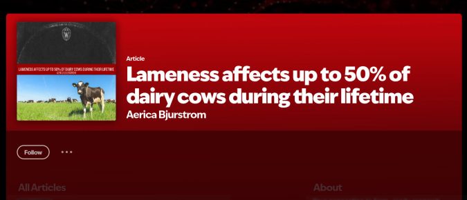 🎧 Listen: Lameness affects up to 50% of dairy cows during their lifetime