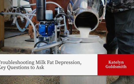 Fresh milk being poured from a metal container into a white milk can, with a portable milking machine visible in the background. The image includes a title "Troubleshooting Milk Fat Depression, Key Questions to Ask" on the left side and the name "Katelyn Gold