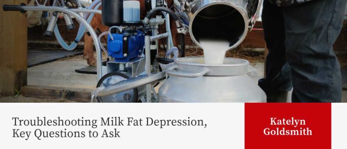 Troubleshooting Milk Fat Depression, Key Questions to Ask