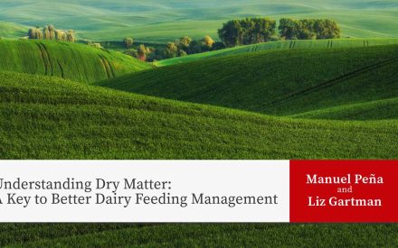 The background features a beautiful landscape of rolling green agricultural fields with gentle hills and scattered trees, showing vibrant farmland under cultivation. The article title 'Understanding Dry Matter: A Key to Better Dairy Feeding Management' with authors Manuel Peña and Liz Gartman displayed on a red panel to the right.