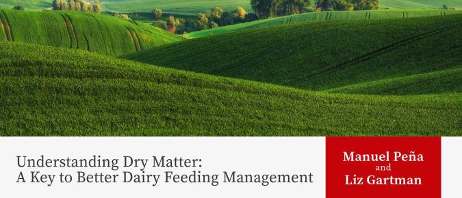 Understanding Dry Matter: A Key to Better Dairy Feeding Management