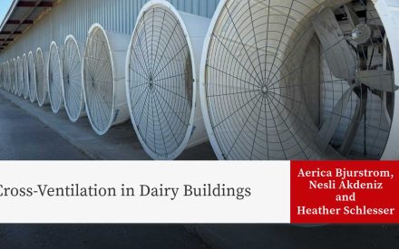 Exterior view of exhaust fans from a dairy barn. Title 'Cross-Ventilation in Dairy Buildings' is shown along with author names 'Aerica Bjurstrom, Nesli Akdeniz, Heather Schlesser'.