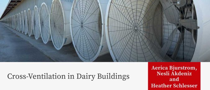 Cross-Ventilation in Dairy Buildings