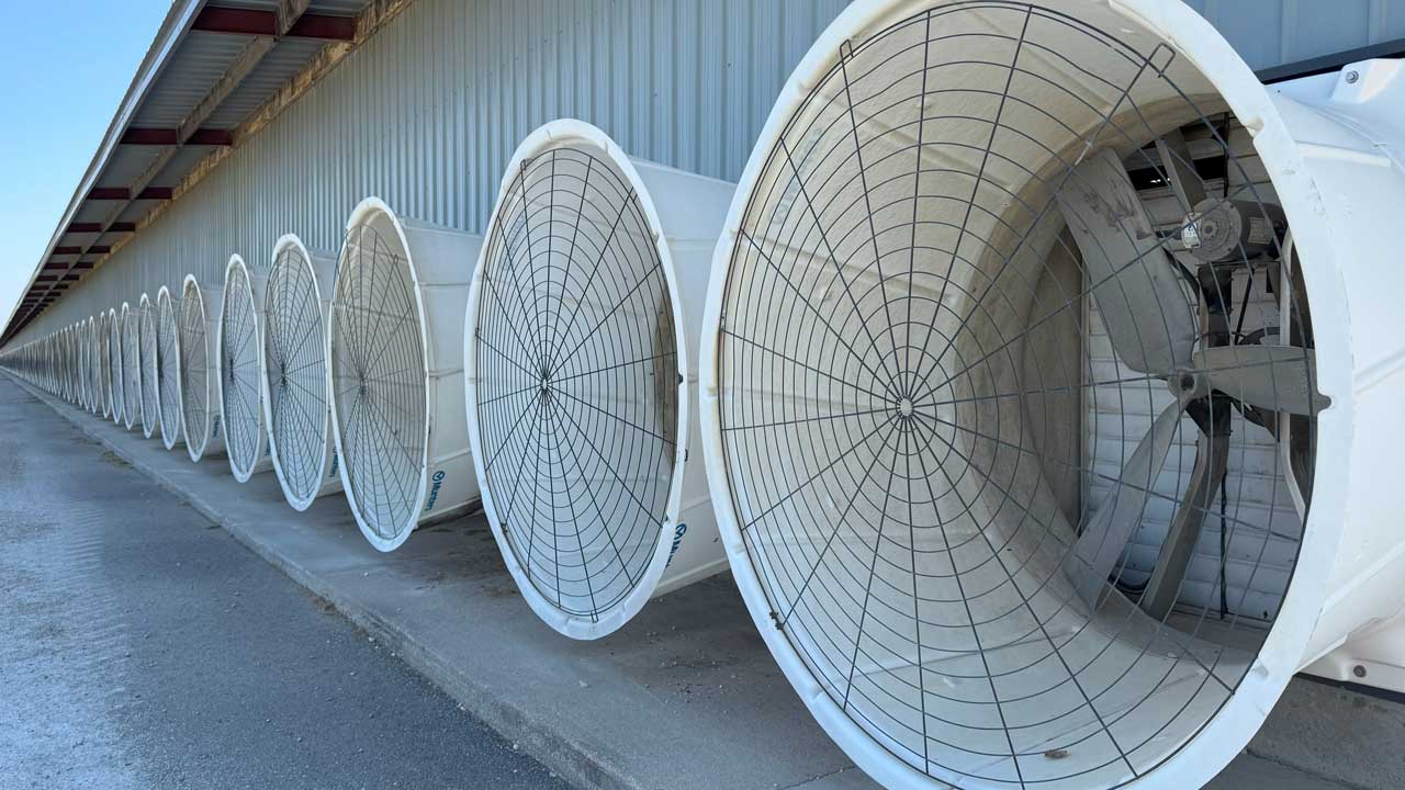 Exterior view of exhaust fans from a dairy barn.
