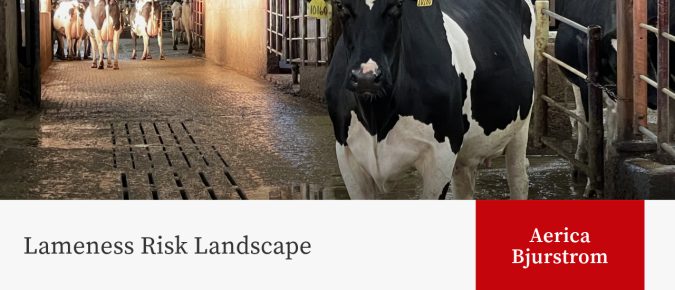 Lameness Risk Landscape