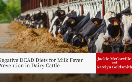 Negative DCAD Diets for Milk Fever Prevention in Dairy Cattle 