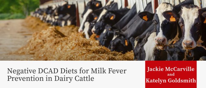 Negative DCAD Diets for Milk Fever Prevention in Dairy Cattle 