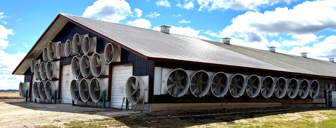 Large dairy barn with extensive ventilation fans mounted on exterior walls under blue sky with white clouds.
