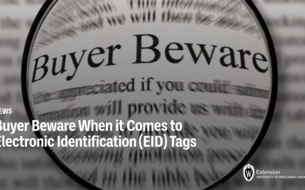 Buyer Beware When it Comes to Electronic Identification (EID) Tags