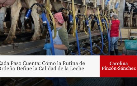 Trabajadores ordeñando vacas en la sala de ordeño con equipo de ordeño azul para el artículo 'Cada Paso Cuenta: Cómo la Rutina de Ordeño Define la Calidad de la Leche ' por Carolina Pinzón-Sánchez.