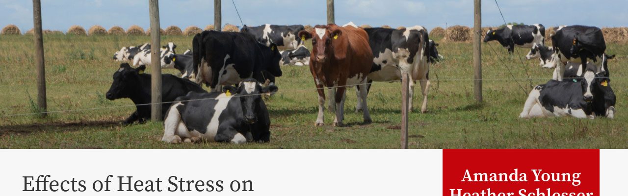 Dairy cows in pasture with shade structure, presentation title "Effects of Heat Stress on Dairy Reproduction" by Amanda Young, Heather Schlesser, Ryan Sterry