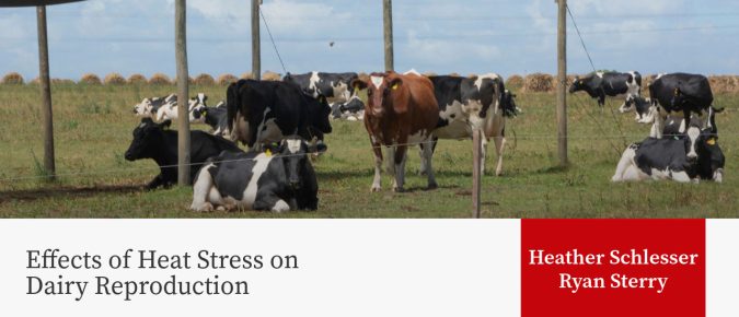 Effects of Heat Stress on Dairy Reproduction
