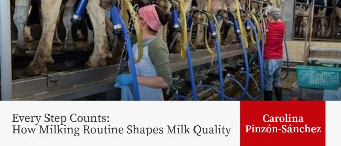 Every Step Counts: How Milking Routine Shapes Milk Quality