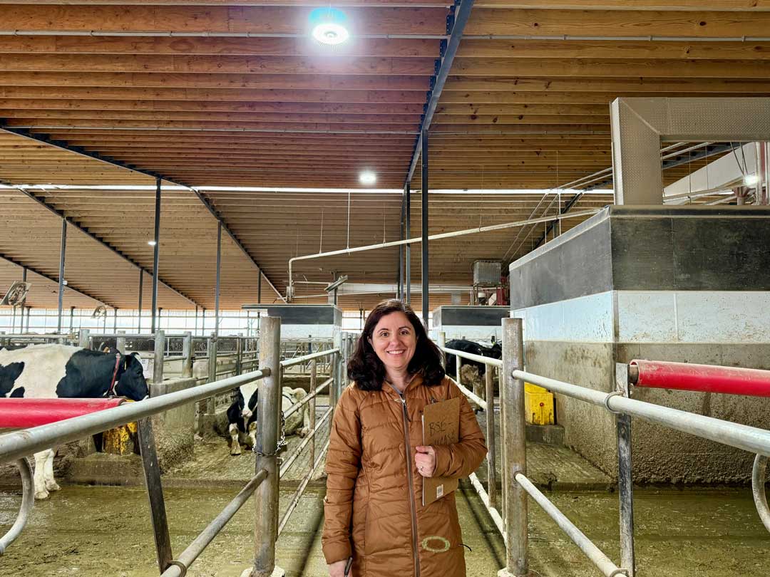 Woman in brown jacket standing in modern dairy barn with Holstein cattle in individual pens under exposed wooden beam ceiling.