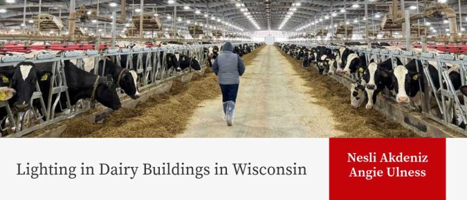 Lighting in Dairy Buildings in Wisconsin