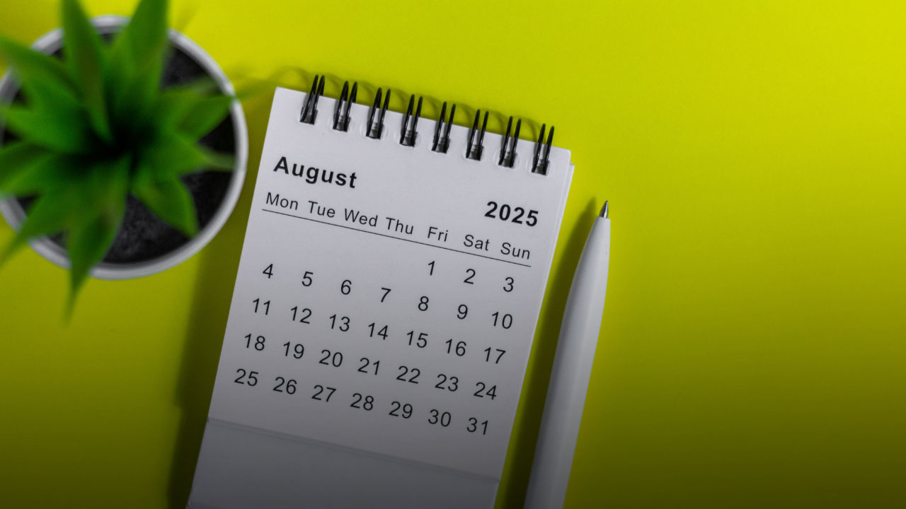 August 2025 spiral calendar page showing monthly grid with dates 1-31, white pen and potted plant on yellow surface