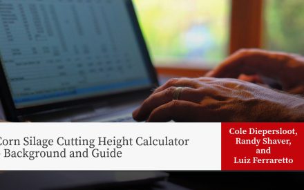 Hands typing on laptop with corn silage cutting height calculator webpage displayed. Authors: Cole Diepersloot, Randy Shaver, Luiz Ferraretto.