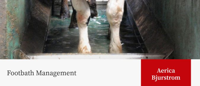 Footbath Management