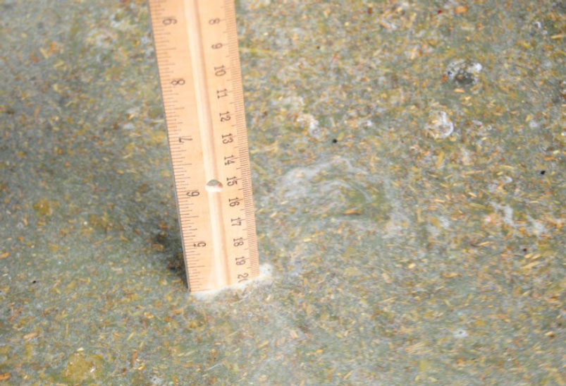 Wooden ruler measuring water depth in shallow of a footbath for cows.