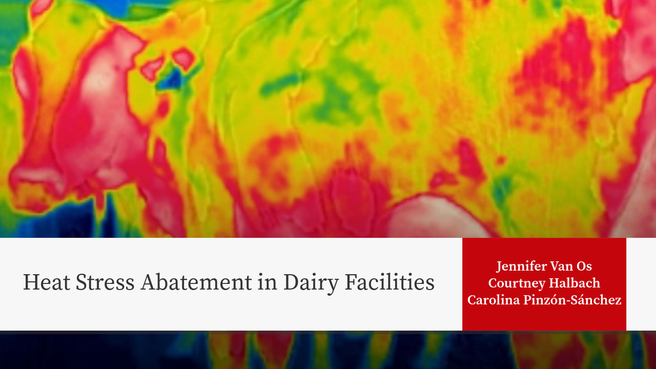 Heat Stress Abatement in Dairy Facilities