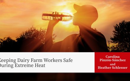 Silhouette of person drinking from water bottle at sunset. Title: "Keeping Dairy Farm Workers Safe During Extreme Heat" Authors: Carolina Pinzón-Sánchez, Heather Schlesser