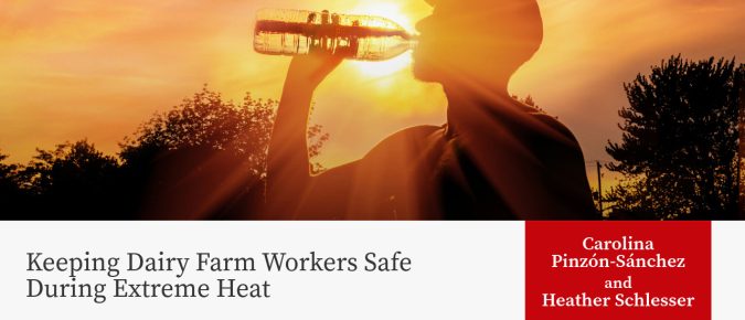 Keeping Dairy Farm Workers Safe During Extreme Heat