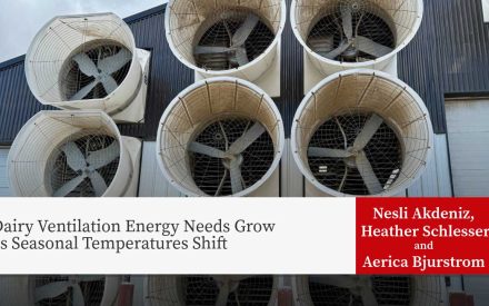 Industrial ventilation fans mounted on dairy facility building with text overlay shows the research title "Dairy Ventilation Energy Needs Grow as Seasonal Temperatures Shift" along with authors Nesli Akdeniz, Heather Schlesser and Aerica Bjurstrom.