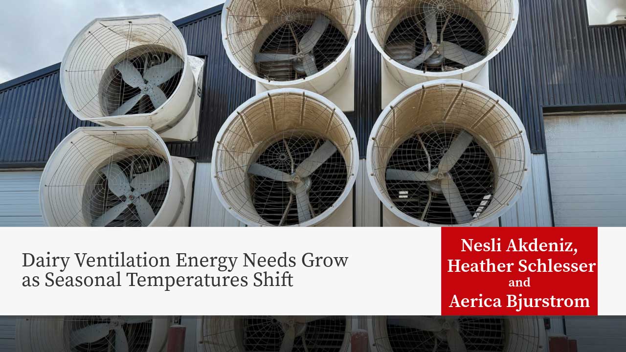 Industrial ventilation fans mounted on dairy facility building with text overlay shows the research title "Dairy Ventilation Energy Needs Grow as Seasonal Temperatures Shift" along with authors Nesli Akdeniz, Heather Schlesser and Aerica Bjurstrom.