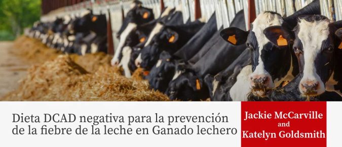 Dieta DCAD negativa para la prevención de la fiebre de la leche en Ganado lechero