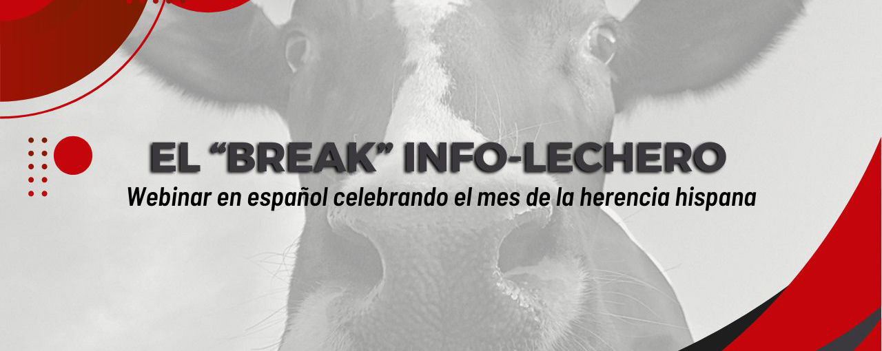 Seminario web de UW-Madison Extension "El Break Info-Lechero" en español celebrando el mes de la herencia hispana, con fondo de vaca lechera