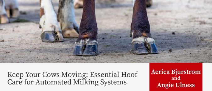Keep Your Cows Moving; Essential Hoof Care for Automated Milking Systems