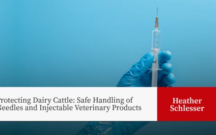 Gloved hand holding syringe. Title: Protecting Dairy Cattle: Safe Handling of Needles and Injectable Veterinary Products - Heather Schlesser