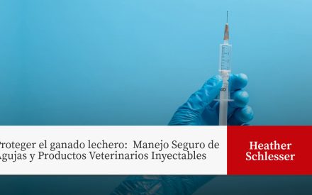 Gloved hand holding syringe. Title: Proteger el ganado lechero: Manejo Seguro de Agujas y Productos Veterinarios Inyectables - Heather Schlesser