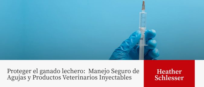 Proteger el ganado lechero:  Manejo Seguro de Agujas y Productos Veterinarios Inyectables