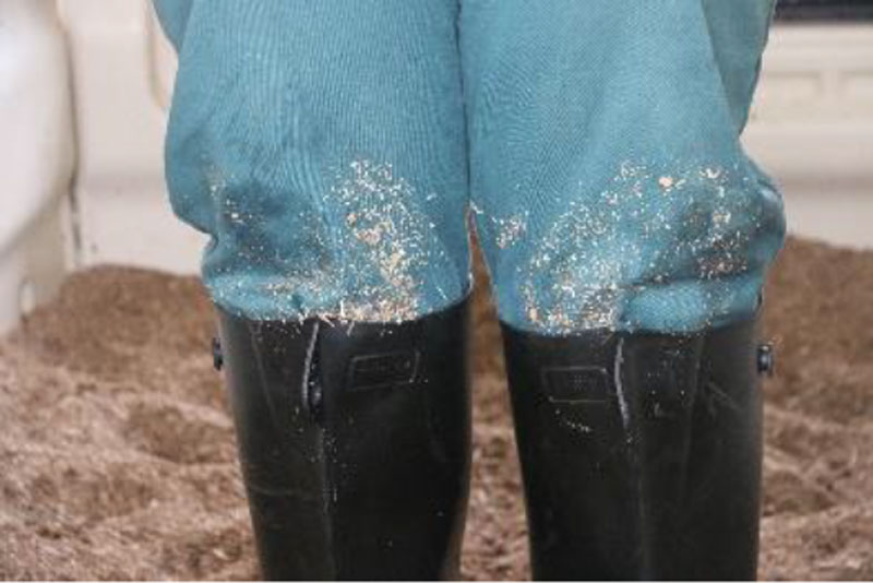Close up photo of farmer's knees after performing bedding tests. Calf bedding materials are shown on the farmer's knees.