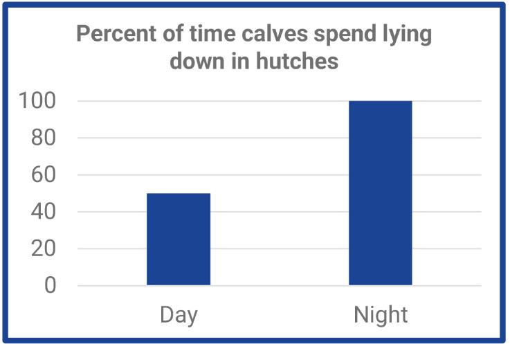 A chart showing the percentage of times calves spend lying down in hutches. 50% during the day and 100% during the night.