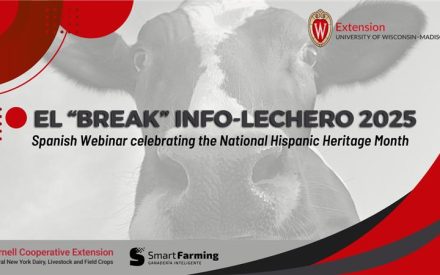 Seminario web lechero en español El “Break” Info-Lechero 2025