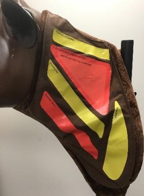 Display of safe injection site triangle located in the neck region of dairy cattle.