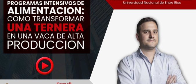 Programas intensivos de alimentación en terneras