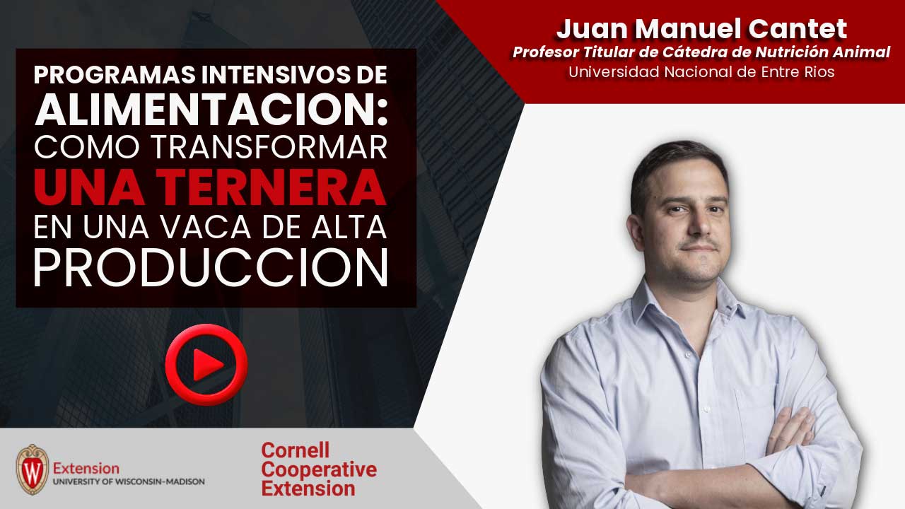 Programas intensivos de alimentación en terneras