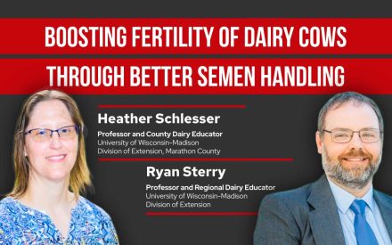 Boosting Fertility of Dairy Cows Through Better Semen Handling - Heather Schlesser and Ryan Sterry, UW-Madison Extension professors.