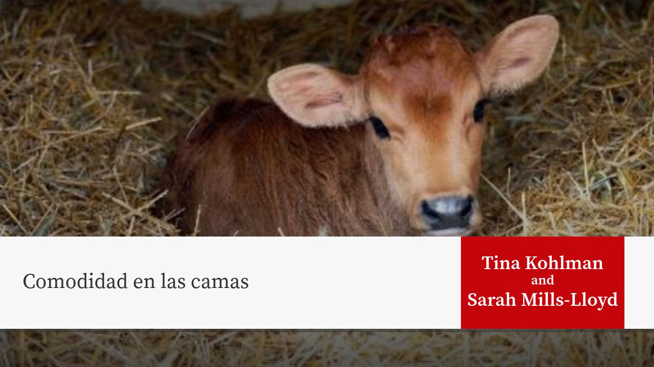 Comodidad en las camas