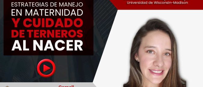 Estrategias de manejo en el área de maternidad y cuidado de terneros al nacer